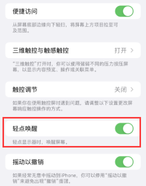 驻马店苹果授权维修站分享iPhone轻点无法唤醒怎么办 