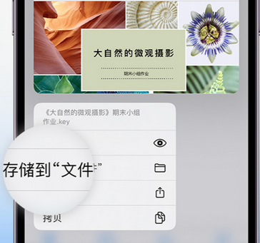 驻马店apple维修中心分享iPhone文件应用中存储和找到下载文件