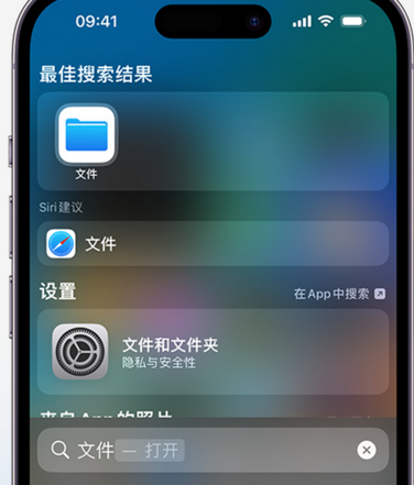 驻马店apple维修中心分享iPhone文件应用中存储和找到下载文件