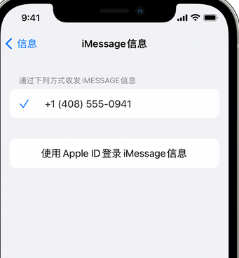 驻马店apple维修iPhone上无法正常发送iMessage信息 