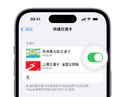 驻马店apple维修点分享iPhone上更换Apple Pay快捷交通卡手绘卡面 