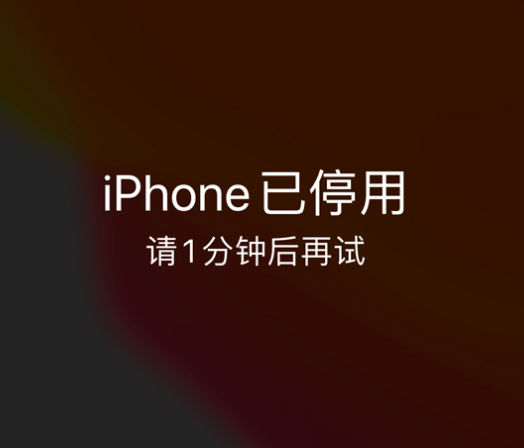 驻马店苹果手机维修分享:iPhone 显示“不可用”或“已停用”怎么办？还能保留数据吗？ 
