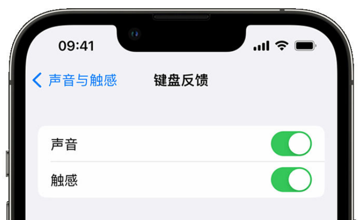 驻马店苹果手机维修分享iPhone 14触感键盘使用方法 