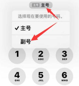 驻马店苹果14维修店分享iPhone 14 Pro Max使用副卡打电话的方法 