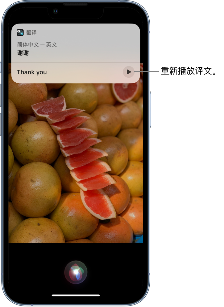 驻马店苹果14维修分享 iPhone 14 机型中使用 Siri：了解 Siri 能帮你做什么 